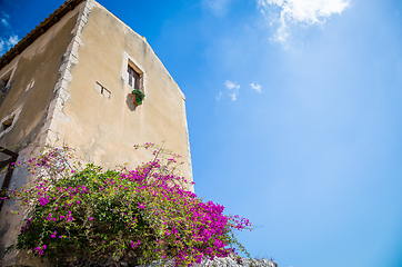 Image showing Sicily, Italy. Old house with purple flowers in Syracuse.