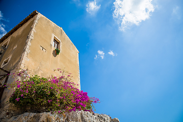 Image showing Sicily, Italy. Old house with purple flowers in Syracuse.