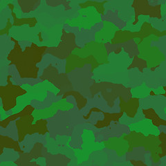 Image showing Camouflage pattern