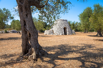 Image showing Puglia Region, Italy. Traditional warehouse made of stone