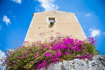 Image showing Sicily, Italy. Old house with purple flowers in Syracuse.