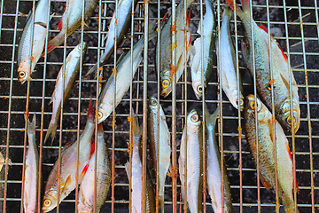 Image showing grilled fish of common bleak and ruud
