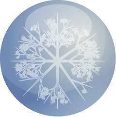 Image showing Snowflake globe