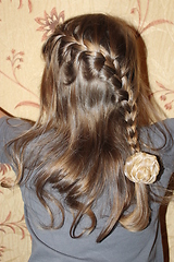 Image showing young girl with nice braids back view