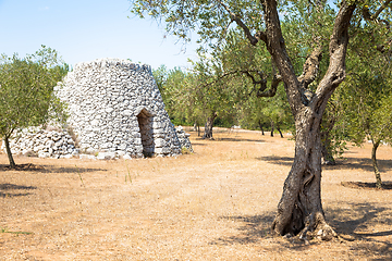 Image showing Puglia Region, Italy. Traditional warehouse made of stone