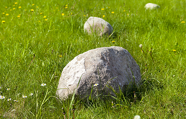 Image showing stones for decoration