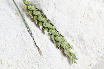 Image showing green wheat ear