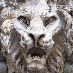 Image showing Lion-Shaped Demon head