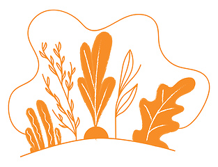 Image showing Clipart of orange-colored plants vector or color illustration