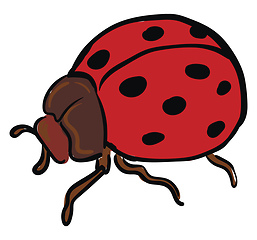 Image showing A big ladybug with brown body looks cute vector or color illustr