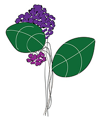 Image showing Line art of purple-colored flowers with green leaves vector or c