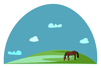 Image showing Portrait of a grazing brown horse in green grasslands vector or 