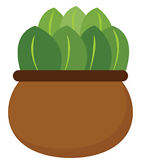 Image showing Clipart of a green plant potted on a brown earthen pot vector or