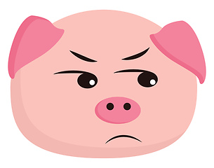 Image showing An angry Pig vector or color illustration