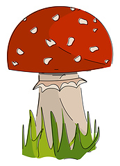 Image showing Agaric mushroom vector or color illustration