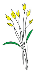 Image showing Sketch of yellow spring flowers basic RGB vector on white backgr
