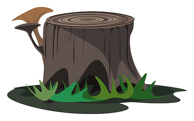 Image showing Tree stump vector or color illustration