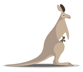 Image showing Kangaroo with baby vector or color illustration