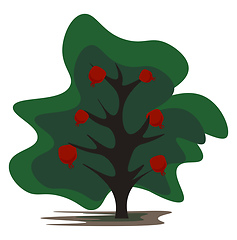 Image showing Cartoon pomegranate tree vector or color illustration