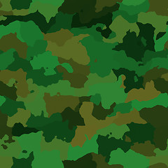 Image showing Camouflage pattern texture