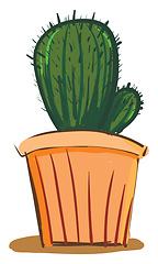 Image showing A beautiful cactus plant with small arm in a decorative pot vect