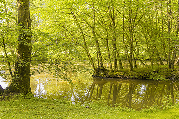 Image showing idyllic park scenery