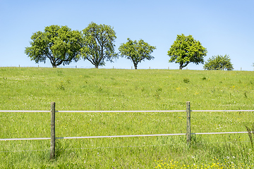 Image showing idyllic spring time scenery