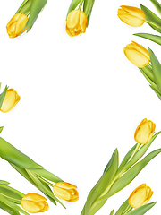 Image showing Yellow fresh tulips on white. EPS 10