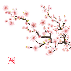 Image showing Realistic sakura blooming flowers. EPS 10