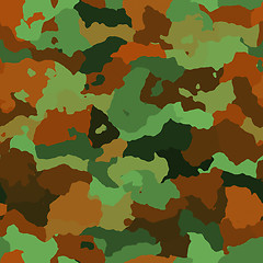 Image showing Camouflage pattern texture