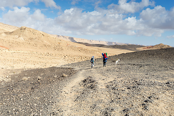 Image showing Trekking in Negev dramatic stone desert, Israel 