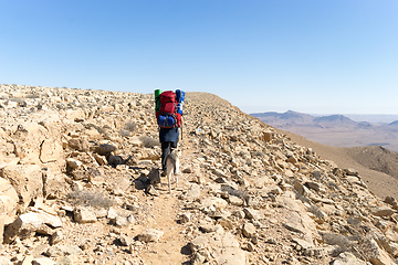 Image showing Trekking in Negev dramatic stone desert, Israel 