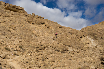 Image showing Trekking in Negev dramatic stone desert, Israel 