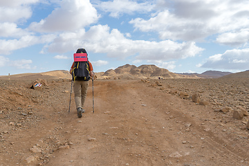 Image showing Trekking in Negev dramatic stone desert, Israel 