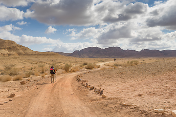 Image showing Trekking in Negev dramatic stone desert, Israel 