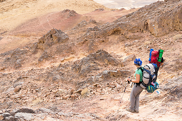 Image showing Trekking in Negev dramatic stone desert, Israel 