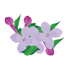 Image showing Vector illustration of purple and violet lilac flowers with gree