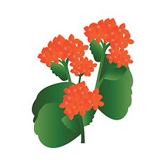 Image showing Vector illustration of orange kalanchoe flowers with green leafs