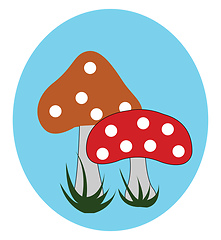 Image showing Portrait of two mushrooms over blue background vector or color i