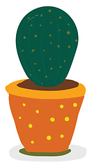 Image showing A beautiful green cactus plant in a designed yellow flower pot v