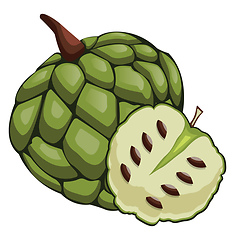 Image showing Green cherimoya cut in half cartoon fruit vector illustration on