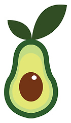 Image showing Clipart of a half-cut avocado fruit vector or color illustration