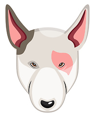 Image showing Bullterrier illustration vector on white background