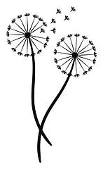 Image showing Pair of a dandelion silhouette vector or color illustration
