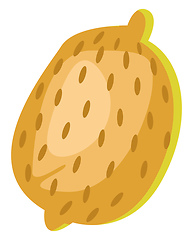 Image showing Papaya, vector color illustration.