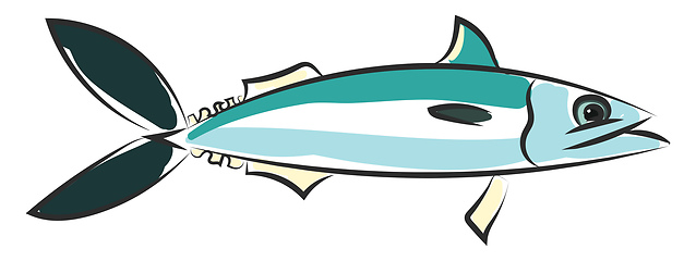 Image showing Drawing of the mackerel fish vector or color illustration