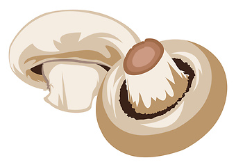 Image showing Light brown mushrooms vector illustration of vegetables on white