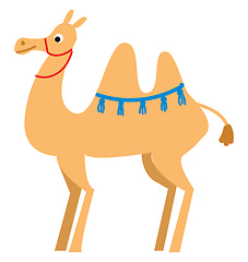 Image showing A light brown camel in the desert vector or color illustration