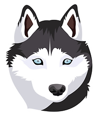 Image showing Siberian Husky illustration vector on white background