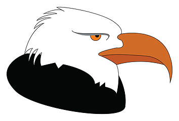 Image showing Profile of a black and white eagle vector illustration on white 